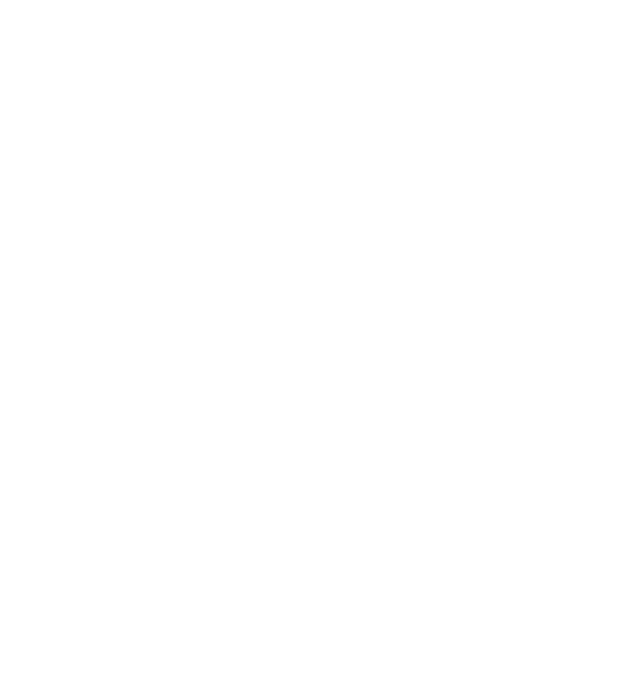 LieMo Electronics